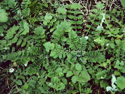 Image: Trevor James © Trevor James 